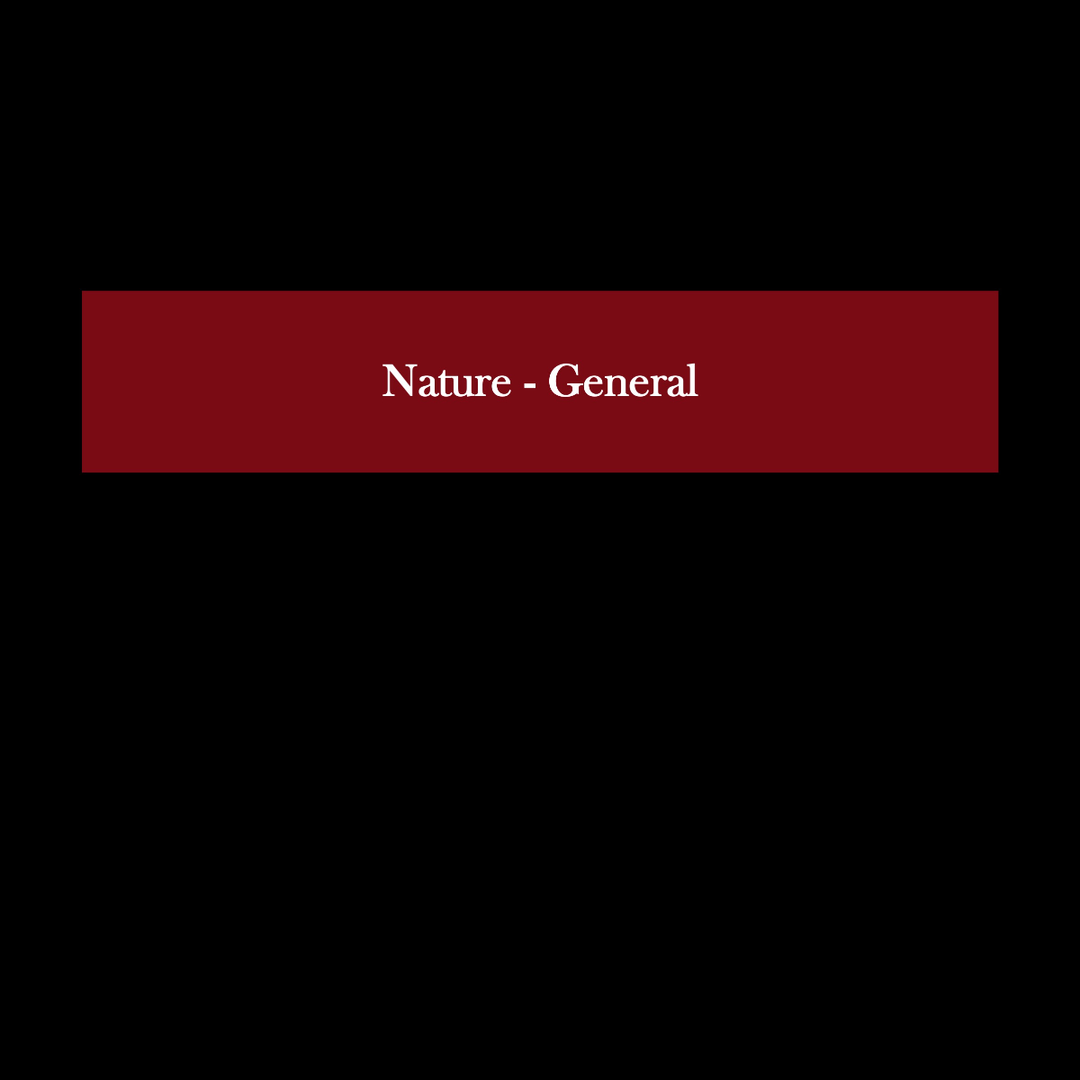 Slide34