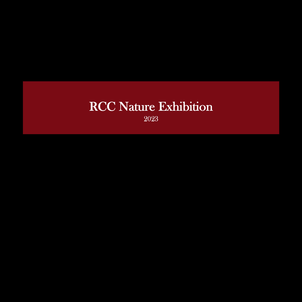 Slide9