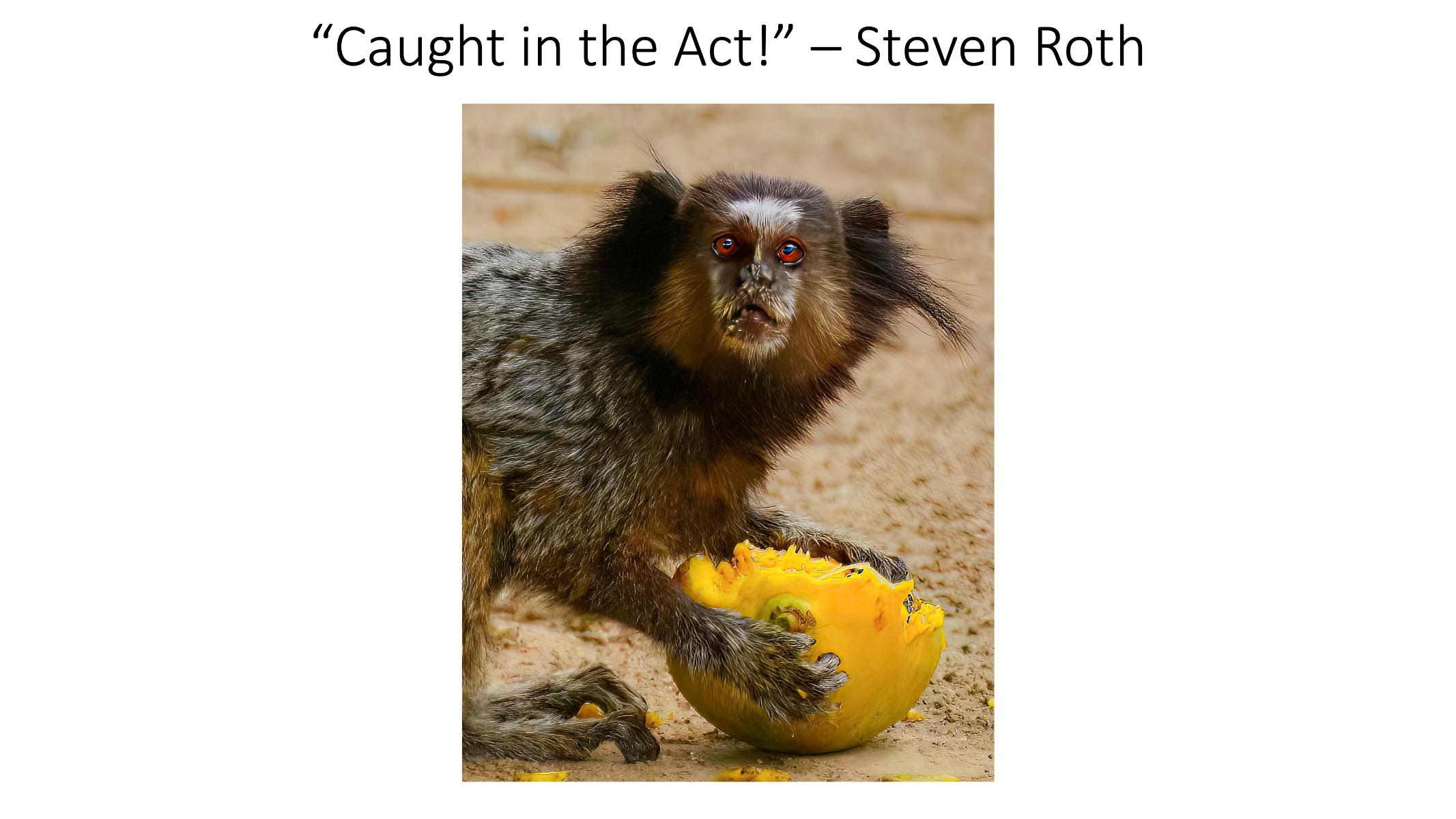 Slide14