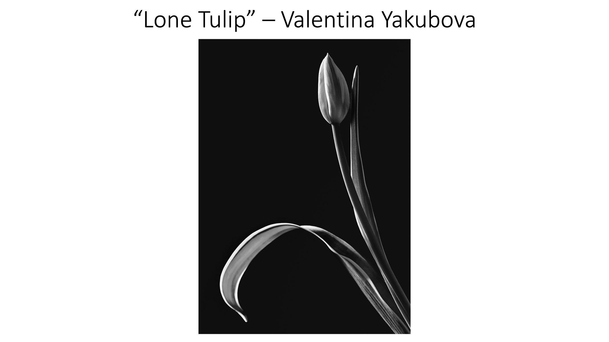 Slide28