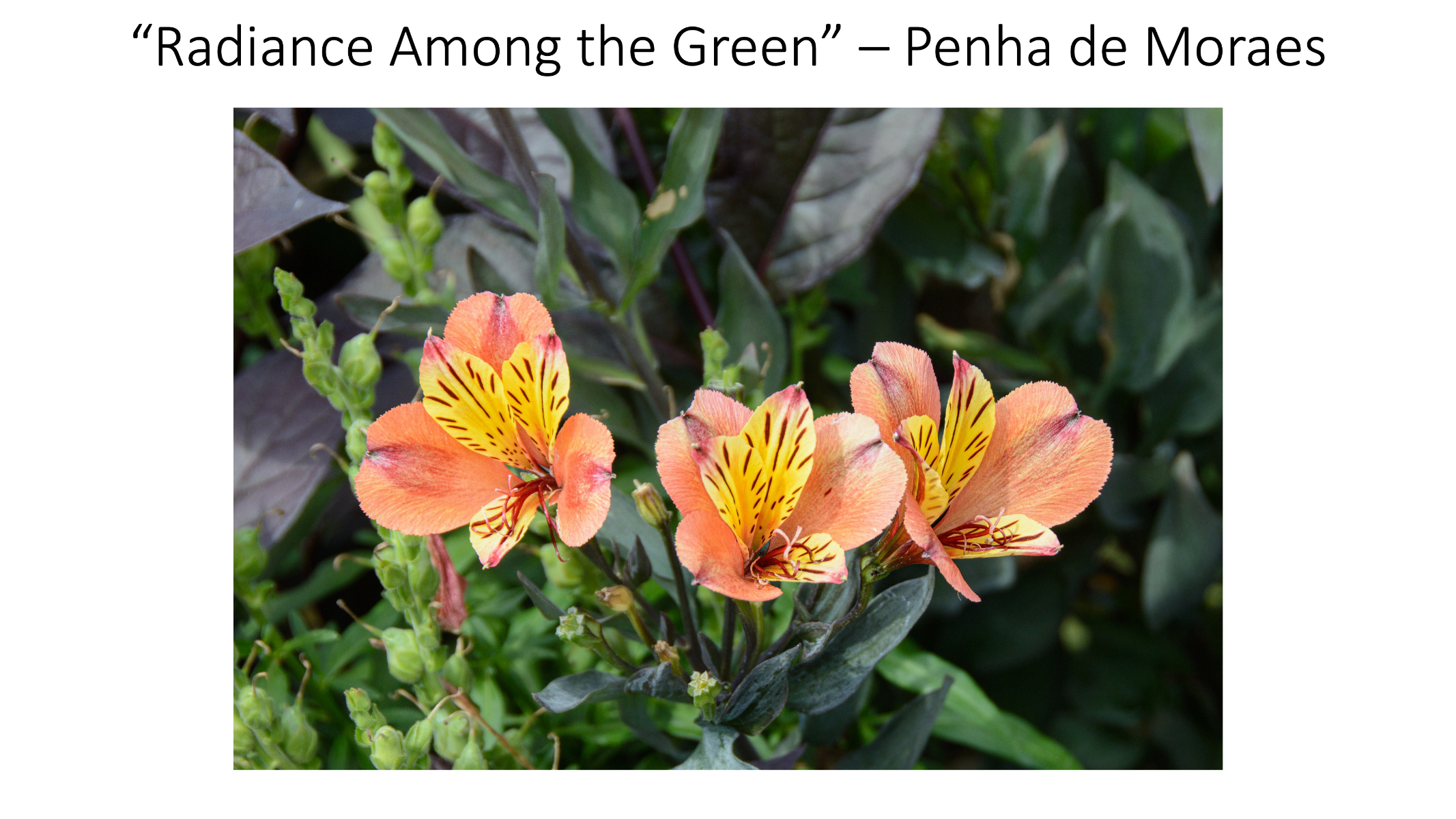 Slide39