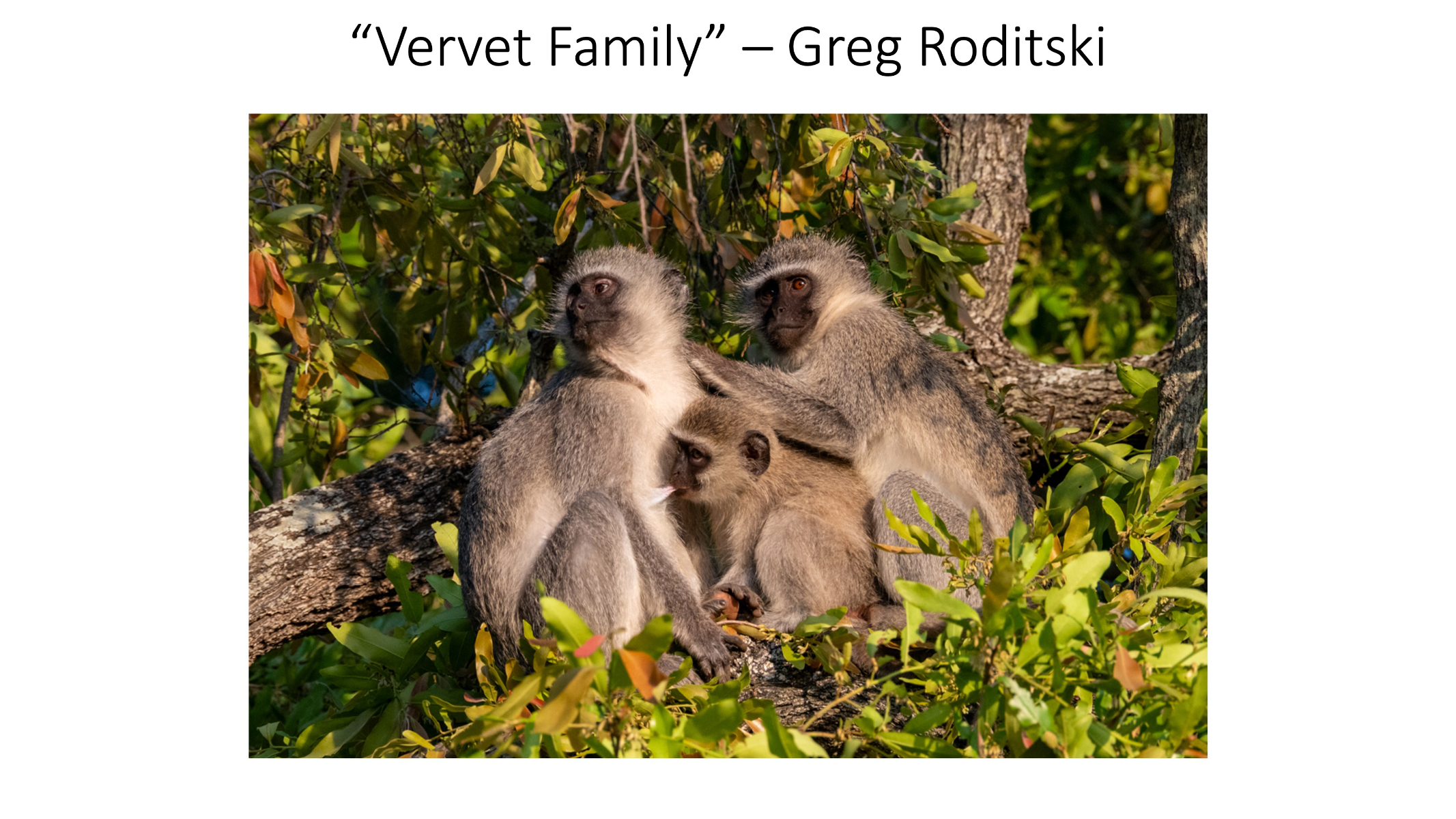 Slide43