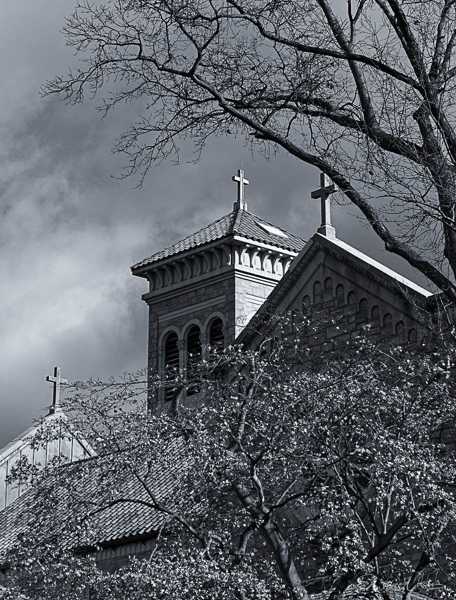 William Nicolosi - Church