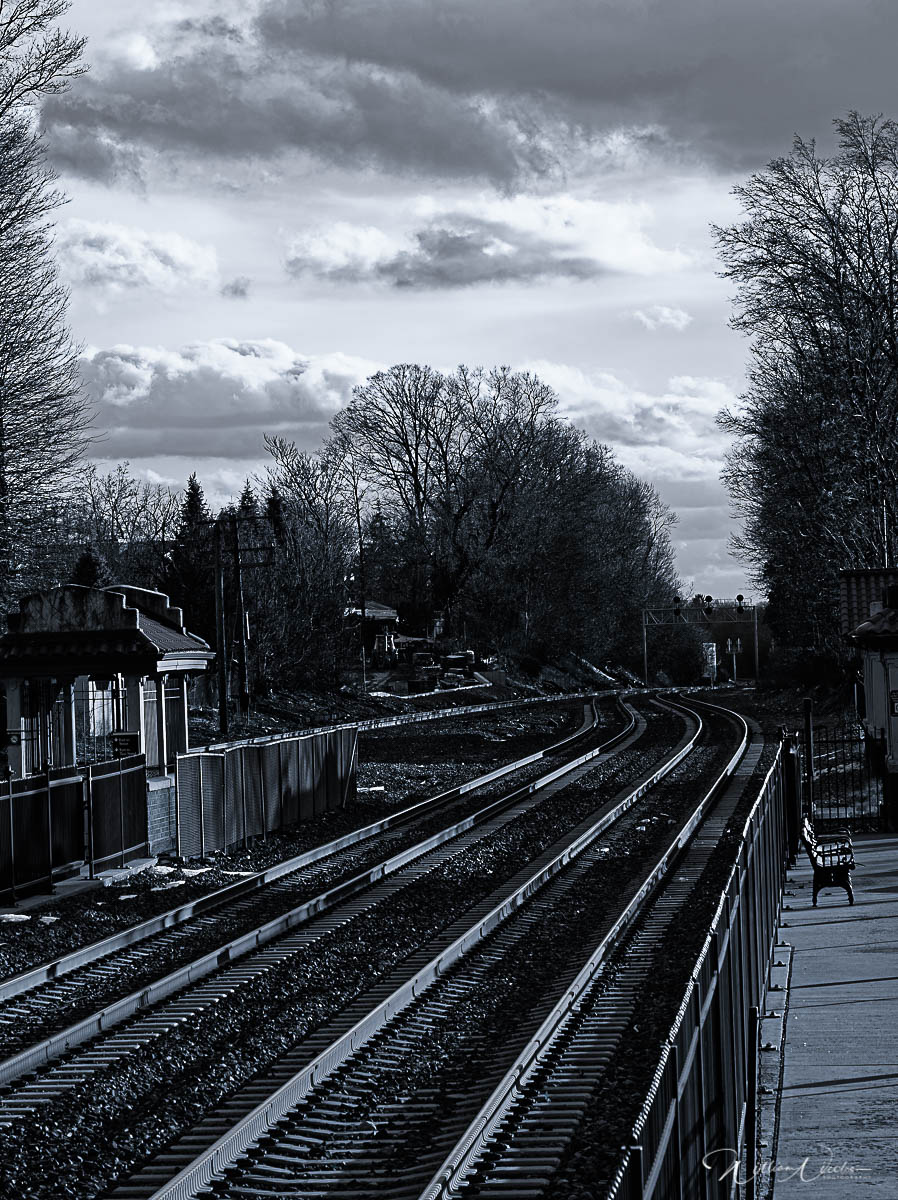 William Nicolosi - Looking South
