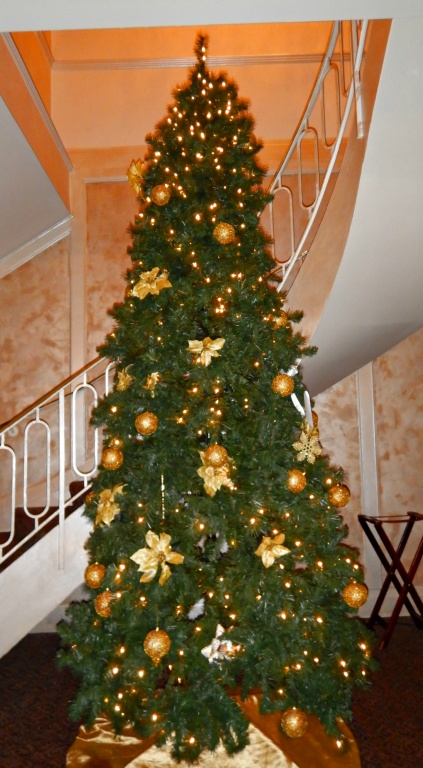 DSCN0458