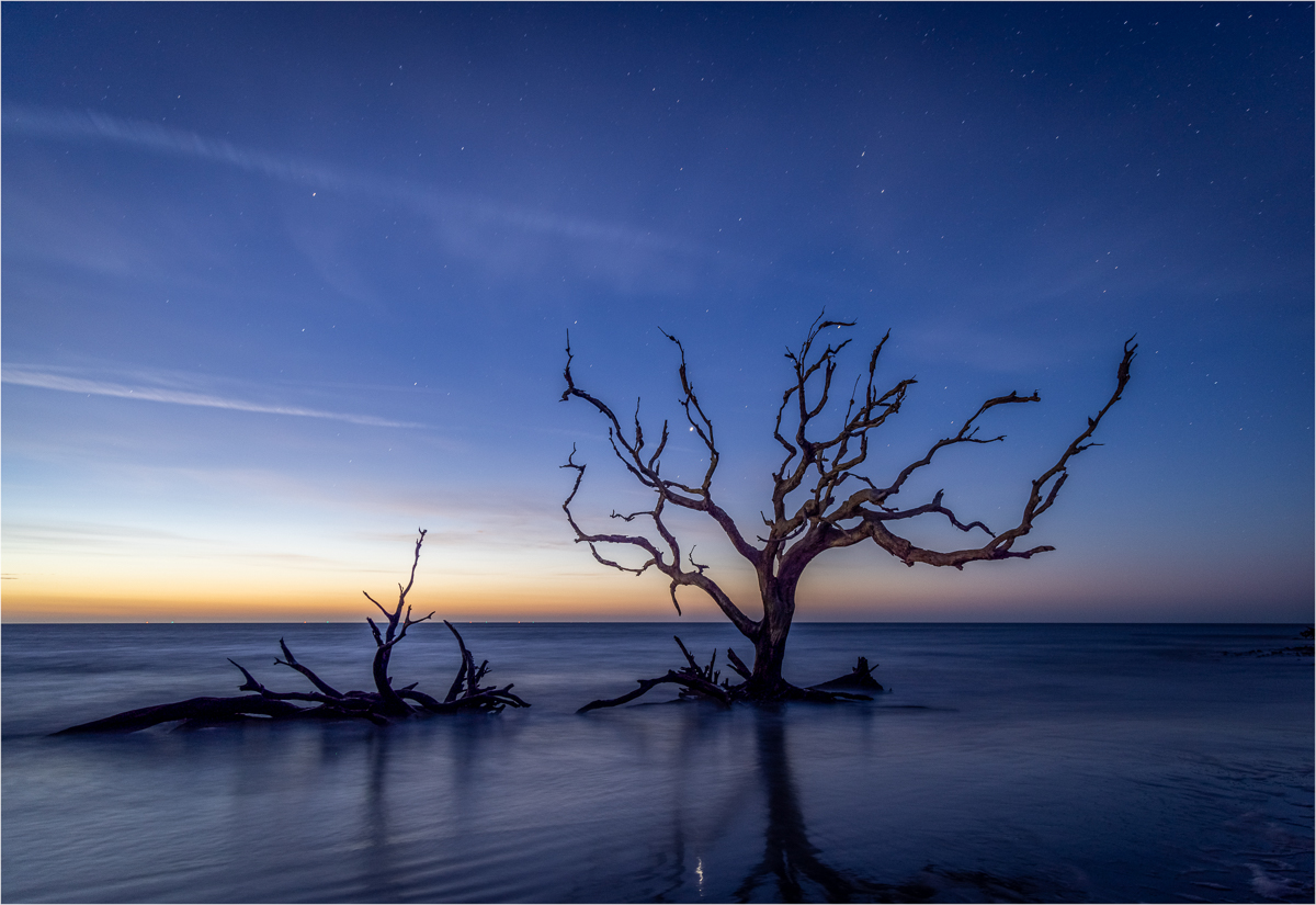 October 2021 - Nature - John Redin - Driftwood Beach Twilight