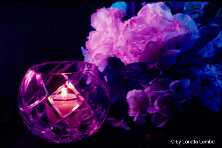April 2005 Projected Image - Loetta Lembo - Flowers by Candlelight