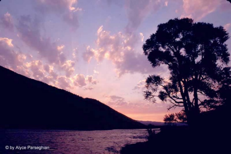 September 2003 Projected Image- Alyce Parseghian - Sunset on the Yellowstone
