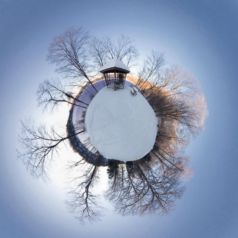 January 2009 Projected Image - Vladimir Byckov - Snowball