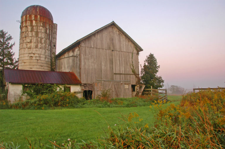 October 2009 Projected Image - Nancy Merena - Early Morning on the Farm