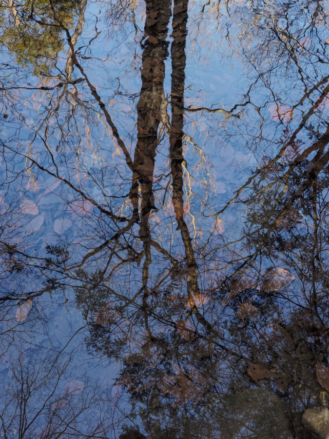 Reflections