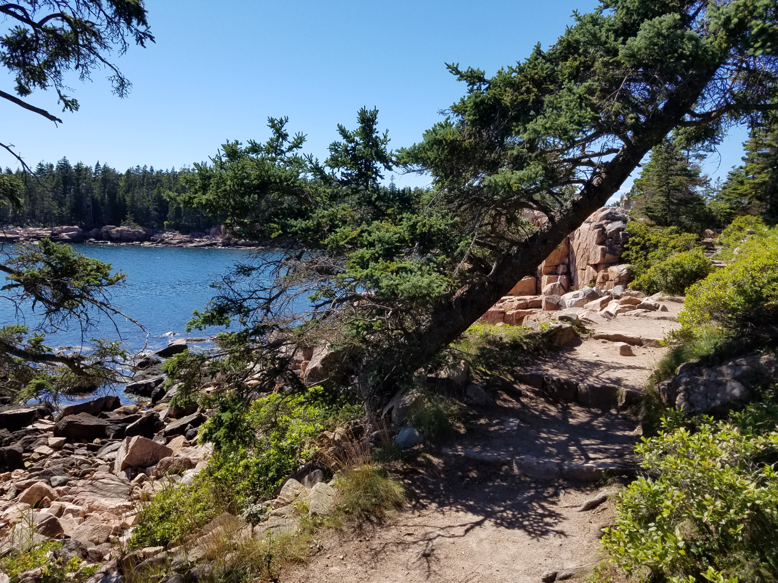 Bar Harbor Maine