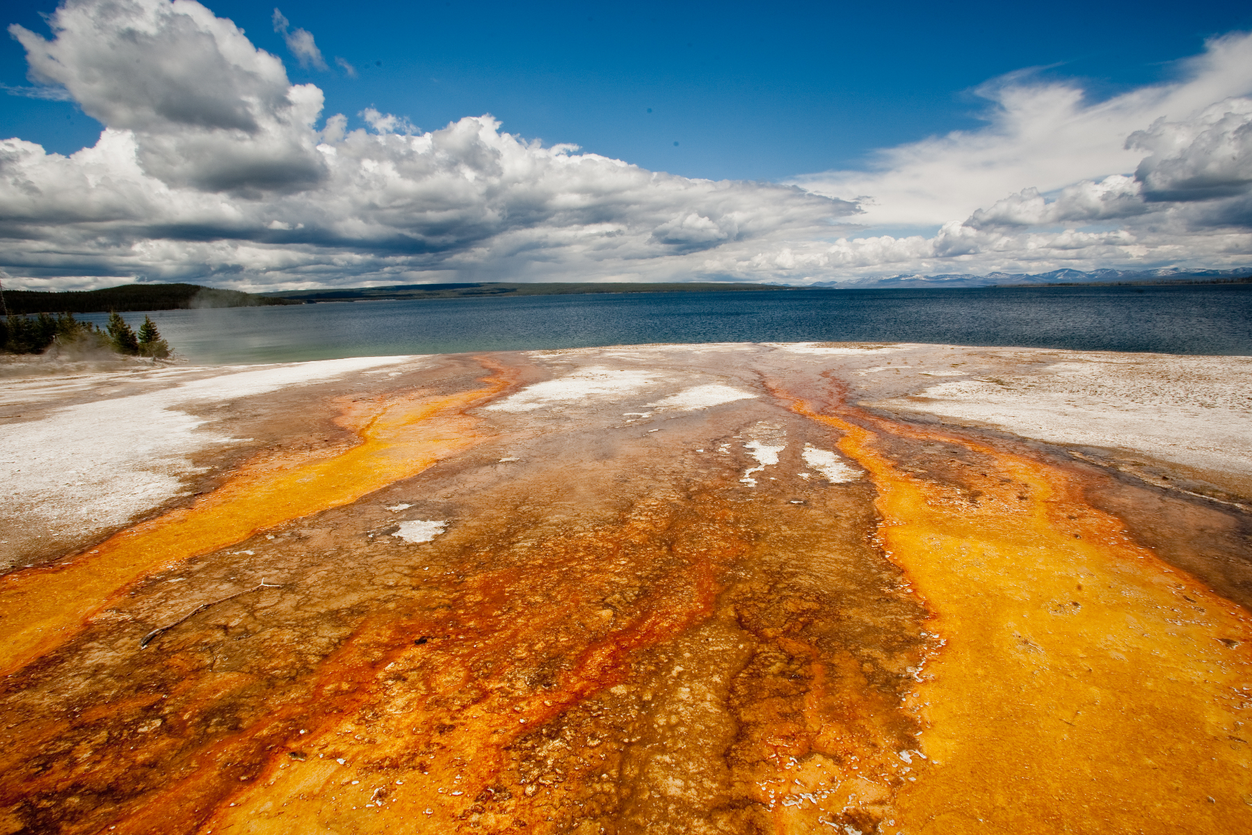 Yellowstone