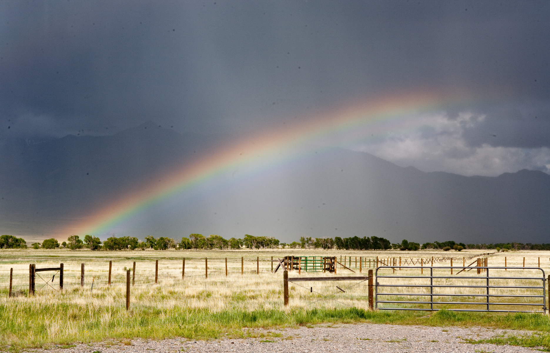 Yellowstone